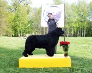 Превью фото № 180806