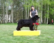 Превью фото № 180807