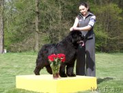 Превью фото № 180808