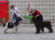 Превью фото № 180828