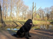 Превью фото № 180831