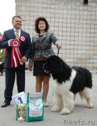 Превью фото № 180839