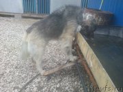 Превью фото № 180849