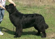 Превью фото № 180898