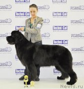 Превью фото № 180899