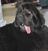 Превью фото № 180903