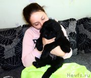 Превью фото № 180907