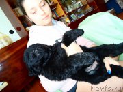 Превью фото № 180908