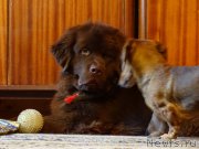 Превью фото № 180910