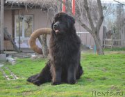 Превью фото № 180911