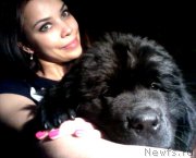 Превью фото № 180941