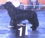 Превью фото № 18095