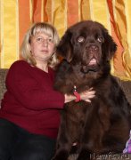 Превью фото № 180960