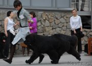 Превью фото № 180966