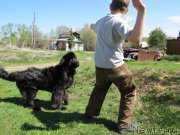 Превью фото № 181072