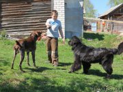 Превью фото № 181075