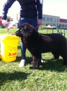 Превью фото № 181079