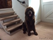 Превью фото № 181087