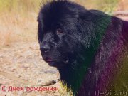 Превью фото № 181091