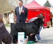 Превью фото № 181111