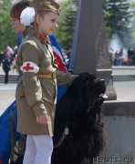 Превью фото № 181116