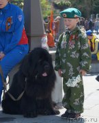 Превью фото № 181117