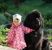 Превью фото № 181119