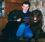 Превью фото № 18112