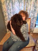 Превью фото № 181122