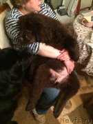 Превью фото № 181123