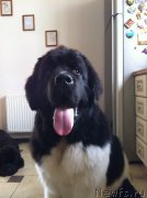 Превью фото № 181124