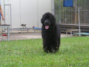 Превью фото № 181134