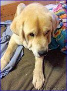 Превью фото № 181148