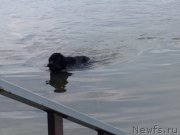 Превью фото № 181157