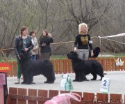 Превью фото № 181167