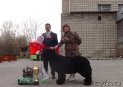 Превью фото № 181170