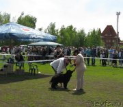 Превью фото № 181173