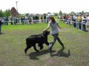 Превью фото № 181175