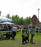 Превью фото № 181176