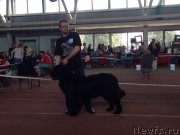 Превью фото № 181184