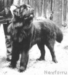 Превью фото № 1812