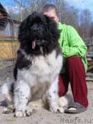 Превью фото № 181236