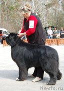 Превью фото № 181247