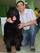 Превью фото № 181311