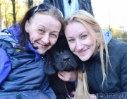 Превью фото № 181333