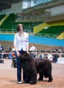 Превью фото № 181342