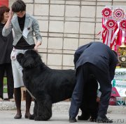 Превью фото № 181367