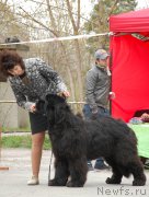 Превью фото № 181376