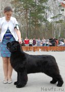 Превью фото № 181384