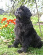 Превью фото № 181396